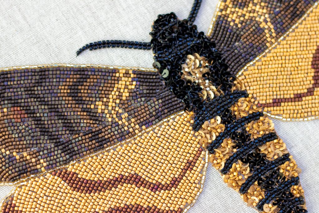 broderie papillon tete de mort